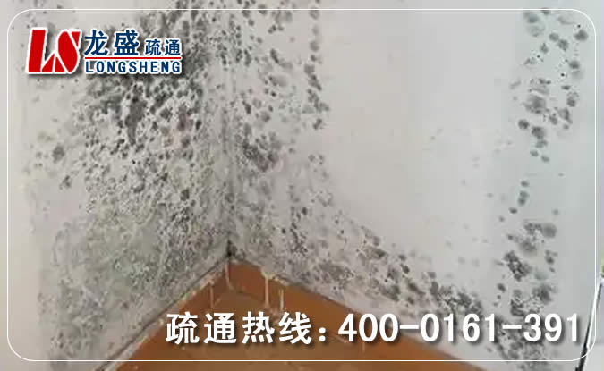 金湾区除菌除霉味